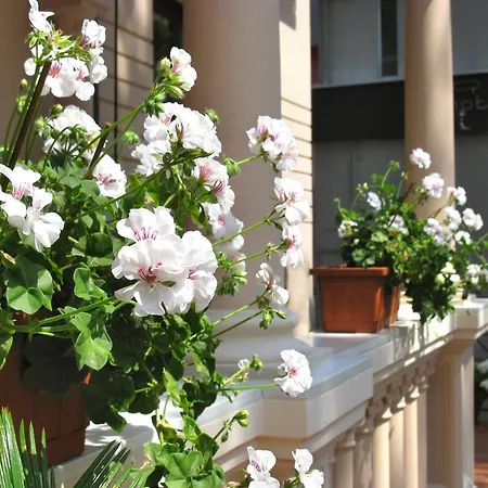 루이지아 리미니