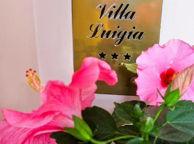 琉嘉别墅酒店 3* 里米尼